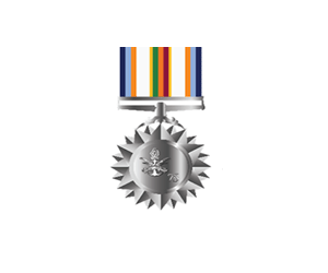 United Nations Services Medal Central  African  Republic