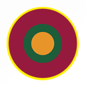 Flight Engineer Badge