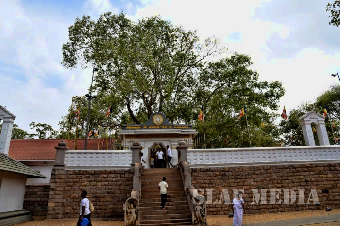 Commander Visits Sri Maha Bodhi