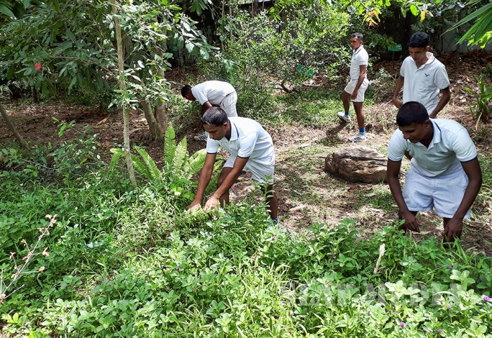 SLAF Supports Dengue Prevention Programme