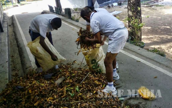 SLAF Supports Dengue Prevention Programme