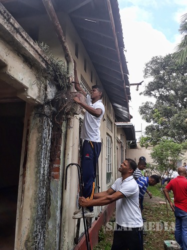 SLAF Supports Dengue Prevention Programme