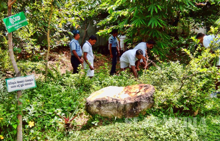 SLAF Supports Dengue Prevention Programme