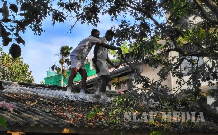 SLAF Supports Dengue Prevention Programme