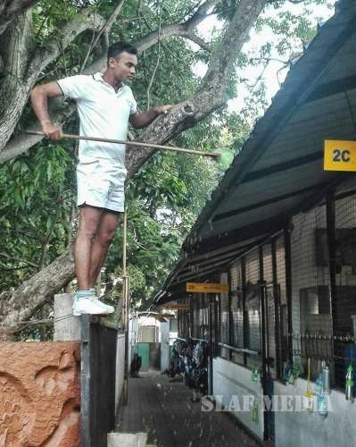 SLAF Supports Dengue Prevention Programme