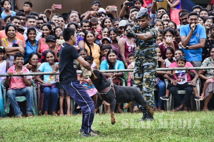 Final Day of Air Force Mini Tattoo -2017