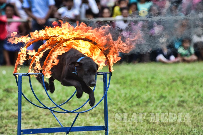 Final Day of Air Force Mini Tattoo -2017