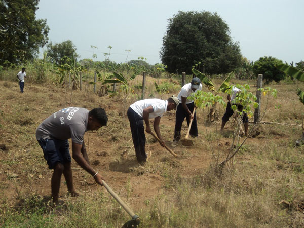 6th Formation Day Celebrated by SLAF Base Vavuniya