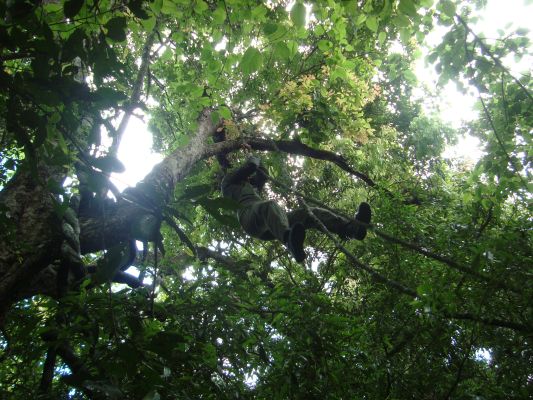 Aircrew Water Survival and Jungle Survival Training Programme