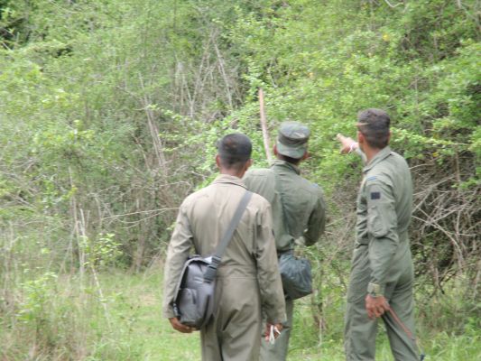 Aircrew Water Survival and Jungle Survival Training Programme