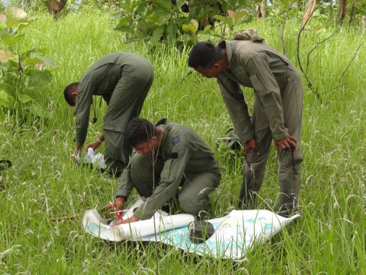 Aircrew Water Survival and Jungle Survival Training Programme