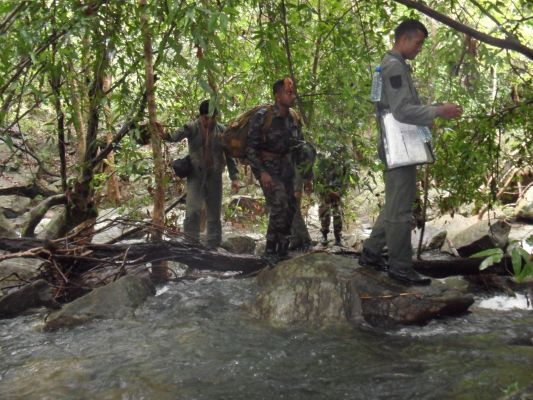 Aircrew Water Survival and Jungle Survival Training Programme