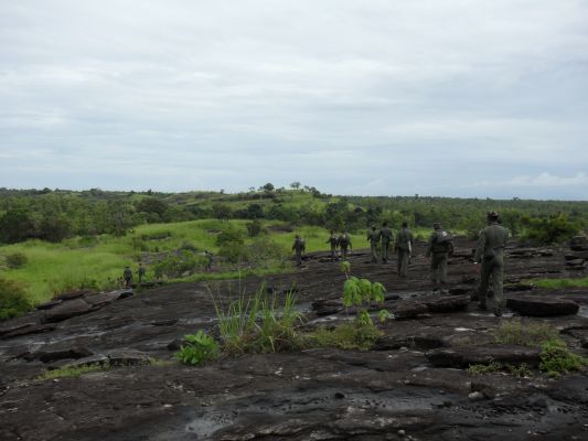 Aircrew Water Survival and Jungle Survival Training Programme