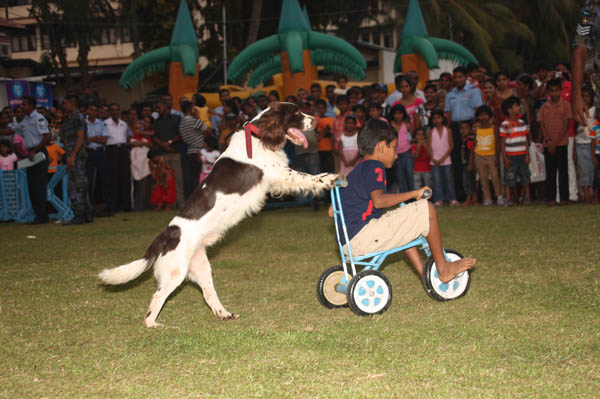 The Annual Children’s Party of SLAF Colombo The Annual Children’s Party of SLAF Colombo