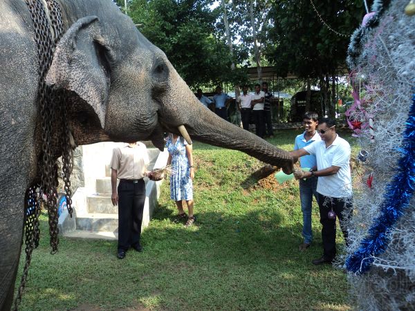 Annual Get-together and Children’s Party 2011 at SLAF Mirigama