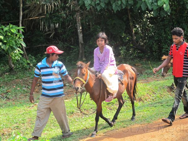 Annual Get-together and Children’s Party 2011 at SLAF Mirigama
