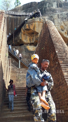 SLAF Assistances to Recue Victims of Wasp Attack in Sigiriya