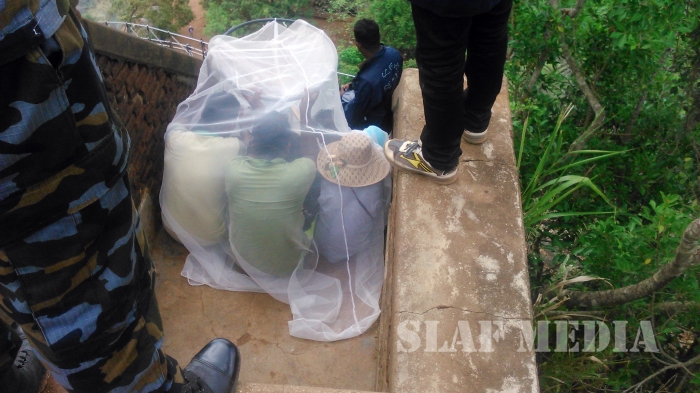 SLAF Assistances to Recue Victims of Wasp Attack in Sigiriya