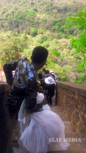 SLAF Assistances to Recue Victims of Wasp Attack in Sigiriya