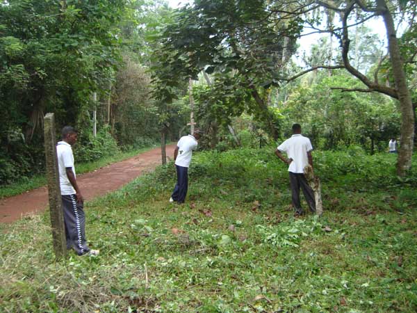 SLAF BIA Celebrates Its 12th Unit Day