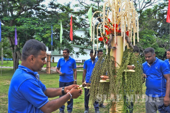 CEW at SLAF Base Katunayake Celebrates its’ 13th Anniversary