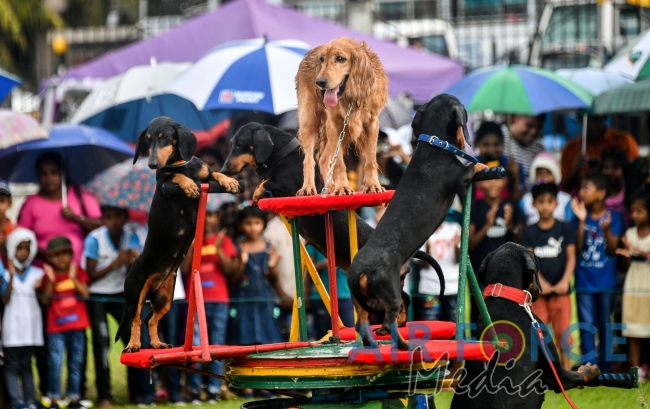 'A Friendly Nation for the Victory of Children' World Children's Day Celebration -2019