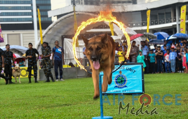 'A Friendly Nation for the Victory of Children' World Children's Day Celebration -2019