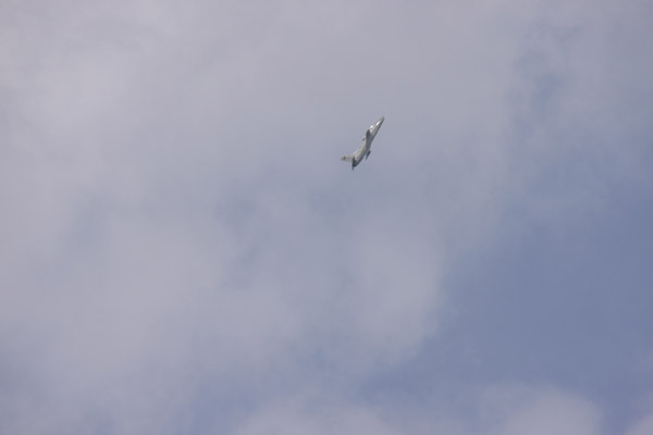 Commissionning and Passing Out Parade