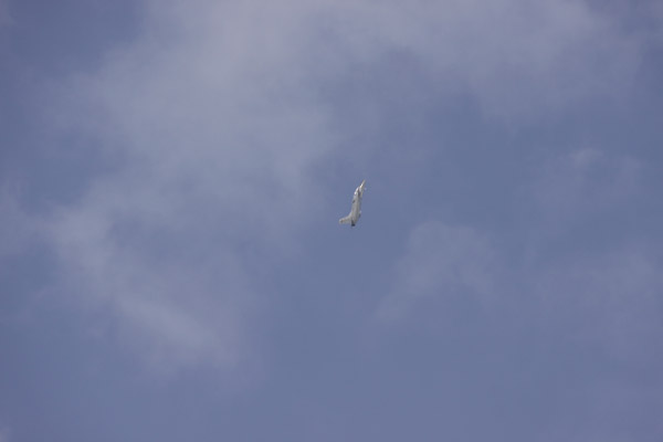 Commissionning and Passing Out Parade