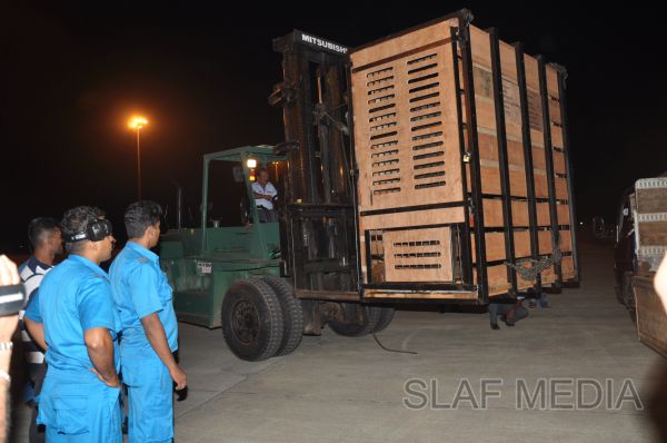 ගුවන් හමුදාවට අයත් ගුවන් යානයක් ආධාරයෙන් අලි පැටවුන් දෙදෙනෙකු ගුවනින් චෙක් රාජ්යයට