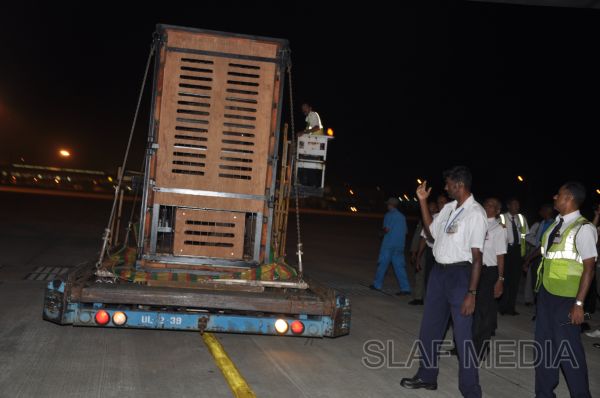 ගුවන් හමුදාවට අයත් ගුවන් යානයක් ආධාරයෙන් අලි පැටවුන් දෙදෙනෙකු ගුවනින් චෙක් රාජ්යයට