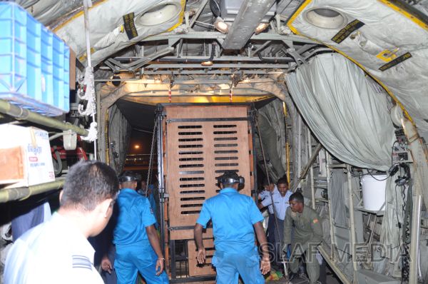 ගුවන් හමුදාවට අයත් ගුවන් යානයක් ආධාරයෙන් අලි පැටවුන් දෙදෙනෙකු ගුවනින් චෙක් රාජ්යයට