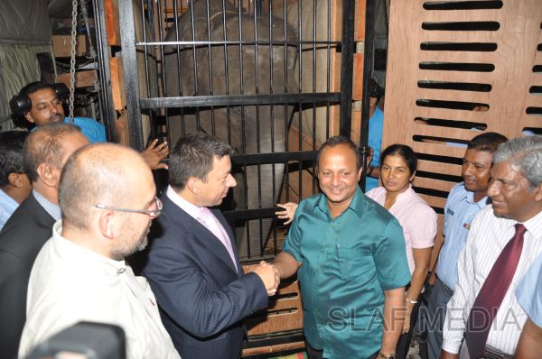 ගුවන් හමුදාවට අයත් ගුවන් යානයක් ආධාරයෙන් අලි පැටවුන් දෙදෙනෙකු ගුවනින් චෙක් රාජ්යයට