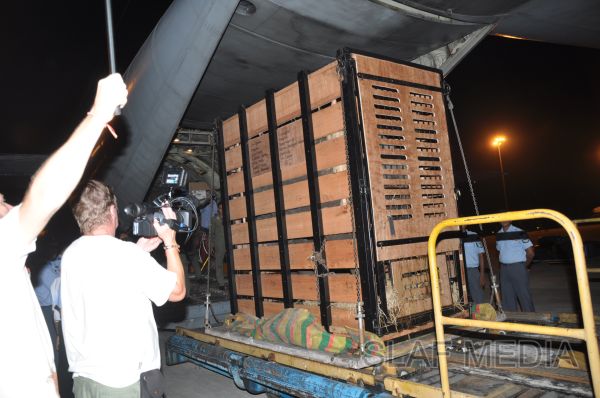 ගුවන් හමුදාවට අයත් ගුවන් යානයක් ආධාරයෙන් අලි පැටවුන් දෙදෙනෙකු ගුවනින් චෙක් රාජ්යයට