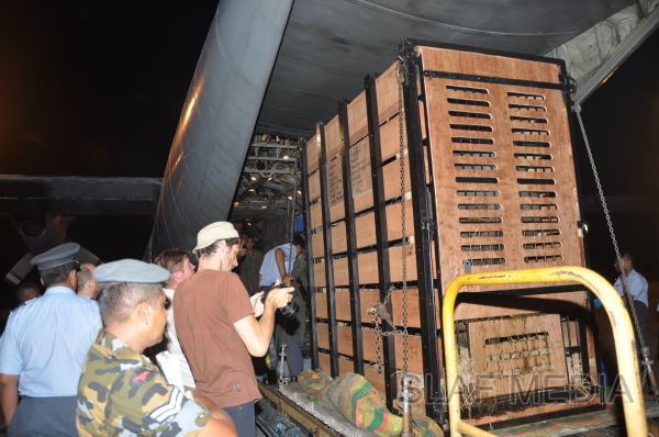 ගුවන් හමුදාවට අයත් ගුවන් යානයක් ආධාරයෙන් අලි පැටවුන් දෙදෙනෙකු ගුවනින් චෙක් රාජ්යයට