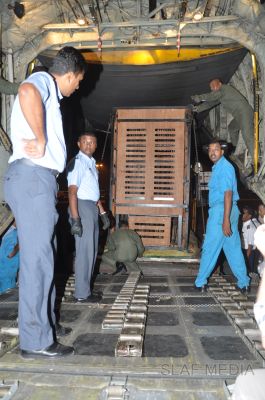 ගුවන් හමුදාවට අයත් ගුවන් යානයක් ආධාරයෙන් අලි පැටවුන් දෙදෙනෙකු ගුවනින් චෙක් රාජ්යයට