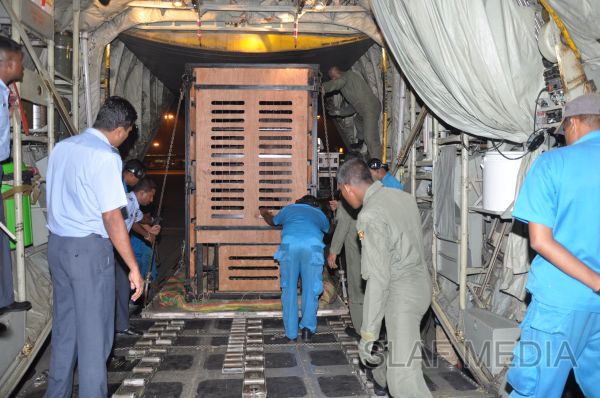 ගුවන් හමුදාවට අයත් ගුවන් යානයක් ආධාරයෙන් අලි පැටවුන් දෙදෙනෙකු ගුවනින් චෙක් රාජ්යයට