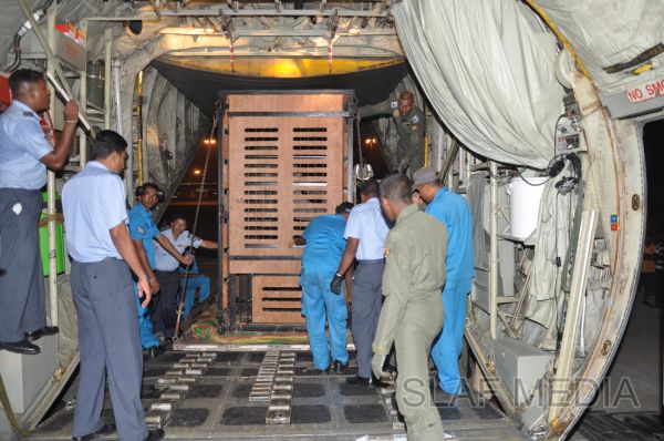 ගුවන් හමුදාවට අයත් ගුවන් යානයක් ආධාරයෙන් අලි පැටවුන් දෙදෙනෙකු ගුවනින් චෙක් රාජ්යයට