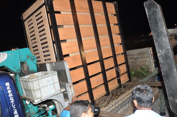 ගුවන් හමුදාවට අයත් ගුවන් යානයක් ආධාරයෙන් අලි පැටවුන් දෙදෙනෙකු ගුවනින් චෙක් රාජ්යයට