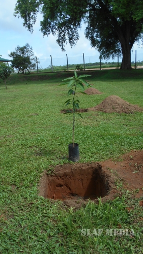 SLAF Celebrates ‘National Environmental Week’