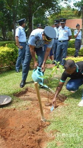 SLAF Celebrates ‘National Environmental Week’