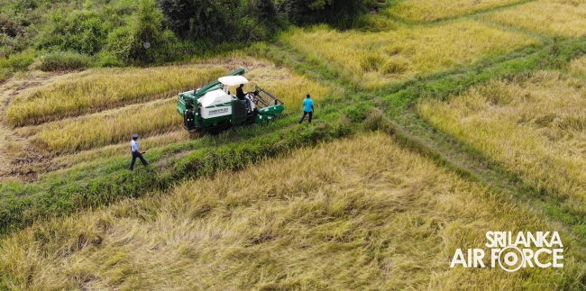 SLAF STATION MORAWEWA UNDERTAKES PADDY HARVESTING OF LOW INCOME FARMER COMMUNITY