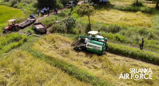 SLAF STATION MORAWEWA UNDERTAKES PADDY HARVESTING OF LOW INCOME FARMER COMMUNITY