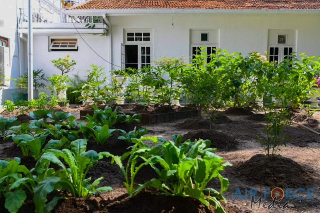 Sri Lanka Air Force “Haritha Danawwa- Urban and Home Gardening” Project