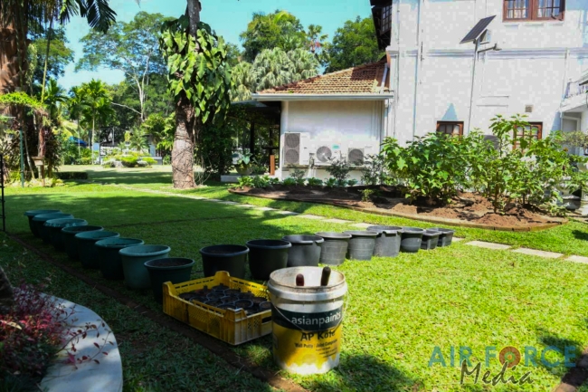 Sri Lanka Air Force “Haritha Danawwa- Urban and Home Gardening” Project