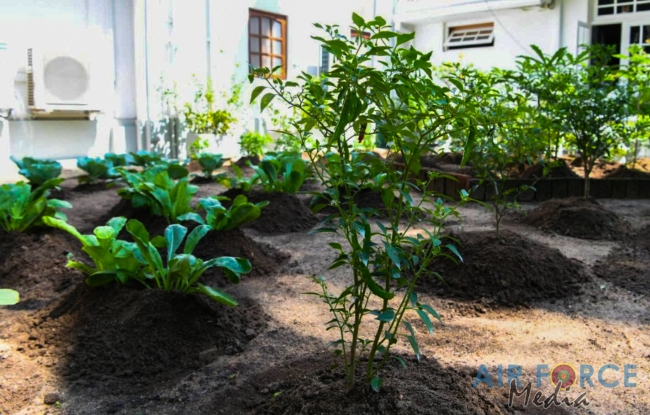 Sri Lanka Air Force “Haritha Danawwa- Urban and Home Gardening” Project