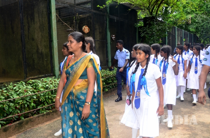 SLAF Sponsors
an Educational Tour for Jaffna School Children