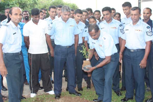 ශ්රී ලංකා ගුවන් හමුදාව පැළ ලක්ෂයක් සිටුවයි..