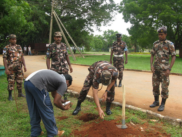 SLAF Plants 100000 Trees
