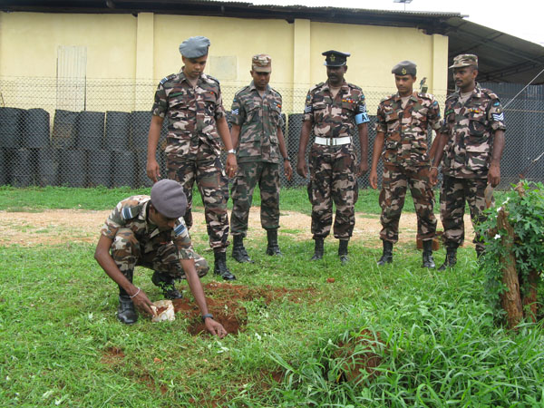 SLAF Plants 100000 Trees